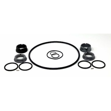 Springer Parts W+ 35/55 Pump Service Kit, SC/SC/C/FKM 25mm; Replaces AMPCO Part# L808591 L808591SP